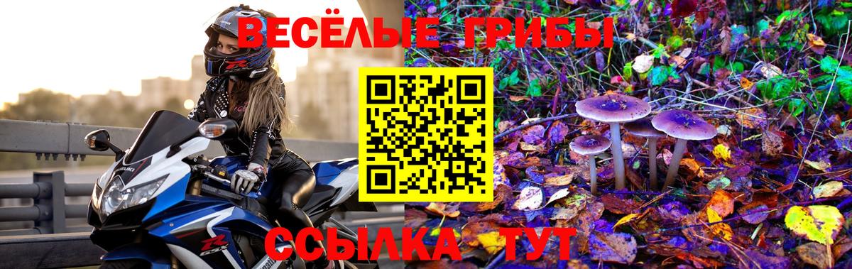 Псилоцибиновые грибы GOLDEN TEACHER  Галлюциногенные грибы прущие грибы  Вход с VPN  Кулебаки 